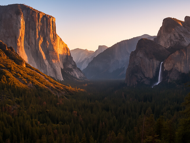 Deep Roots in the Community